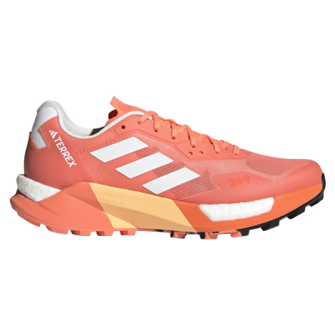 Women's running shoes adidas Terrex AGRAVIC ULTR CORFUS/CRYWHT/IMPORA