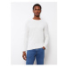 LC Waikiki Crew Neck Long Sleeve Men's Knitwear Sweater