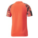 Puma INDIVIDUALFINAL WC JERSEY Pánsky dres, oranžová, veľkosť
