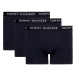 Tommy Hilfiger Underwear Boxerky 'Essential'  námornícka modrá / biela