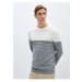 LC Waikiki Crew Neck Long Sleeve Color Block Men's Knitwear Sweater