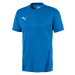 Puma teamGOAL 23 Dres 704171 02