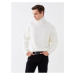 LC Waikiki Turtleneck Long Sleeve Men's Knitwear Sweater