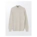 LC Waikiki Half Turtleneck Long Sleeve Men's Knitwear Sweater