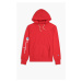 Champion Hooded 213659 RS017