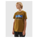 Boys' cotton T-shirt