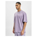 DEF T-shirt purple washed