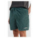 O'Neill CAMORRO CORD SHORT Pánske šortky, zelená, veľkosť