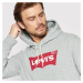 Levi's Graphic Hoodie