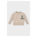 DEFACTO Baby Boy Crew Neck Back Printed Soft Furry Sweatshirt