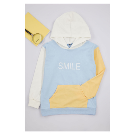 Trendyol Baby Blue Boy's Hooded Color Block Cotton Knit Sweatshirt