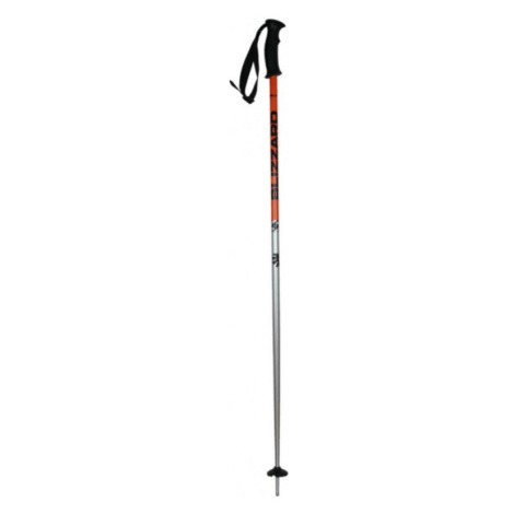 BLIZZARD-Sport ski poles, black/orange/silver Mix 125 cm 23/24