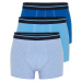 Trendyol Blue 3-Pack Straight Striped Rubber Detailed Cotton Boxers