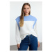 Trendyol Blue Thick Inside Fleece Regular/Normal Fit Color Block Knitted Sweatshirt