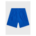 Nike Plavecké šortky Essential NESSB866 Modrá Regular Fit