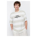Trendyol Stone Oversize Striped City Printed 100% Cotton T-Shirt