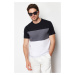 Trendyol Black Regular Cut Color Blocked 100% Cotton T-Shirt