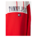 Tommy Jeans Úpletové šaty Archive 1 DW0DW14399 Červená Regular Fit