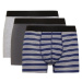 DEFACTO Regular Fit 3-pack Boxer