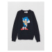 LC Waikiki Lcw Crew Neck Sonic Printed Long Sleeve Boy's Knitwear Sweater