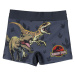 SWIM BOXER JURASSIC PARK