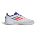 Topánky adidas F50 League IN M IF1395