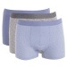 DEFACTO Regular Fit 3-pack Boxer