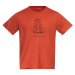 Men's T-shirt Bergans Graphic Wool Brick