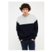 LC Waikiki Crew Neck Long Sleeve Color Block Men's Knitwear Sweater