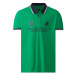 LIVERGY® Pánske polo tričko (zelená)