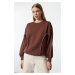 Trendyol Brown Stitching Detailed Crew Neck Regular Fit Thick Inside Fleece Knitted Sweatshirt