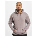 Moretus Hoody grey