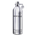 Montale Vanille Absolu - EDP 100 ml