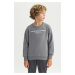 DEFACTO Boys' Crew Neck Thick Sweatshirt