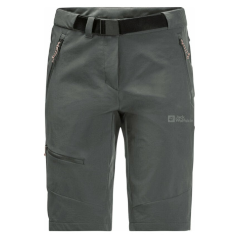 Jack Wolfskin Ziegspitz Shorts W Slate Green S-M Šortky