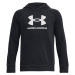 Boys' sweatshirt Under Armour Rival Fleece BL Hoodie