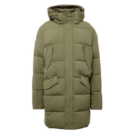 SAVE THE DUCK Zimný kabát 'Dianthus'  zelená