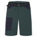 Men's shorts Hannah VERNE green gables/anthracite