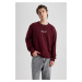 DEFACTO Regular Fit Crew Neck Sweatshirt