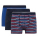 DEFACTO Regular Fit 3-pack Boxer