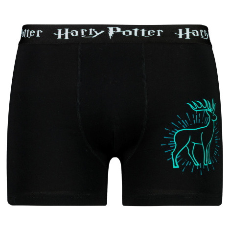 Pánske boxerky Harry Potter - Frogies
