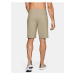 Šortky Under Armour UA Fish Hunter Short-BRN