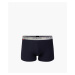 Men's boxers ATLANTIC - black