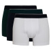 DEFACTO Regular Fit 3-pack Boxer