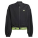 Adidas D Crop Bomber Jr IA1531 170 cm