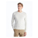 LC Waikiki Men's Crew Neck Striped Long Sleeve Knitwear Sweater