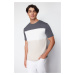 Trendyol Anthracite Regular Cut Color Blocked 100% Cotton T-Shirt