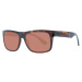 Serengeti Sunglasses