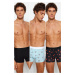 Trendyol 3-Pack Multi-Colored Animal Patterned-Flat Pack Couple/Double Stretch Cotton Boxer