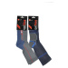 Pánské ponožky Sport Line design lightmix 4143 model 7464069 - Terjax